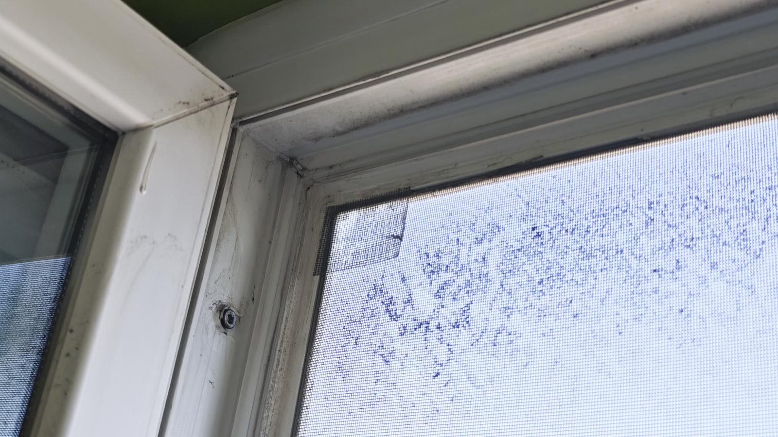 Szúnyogháló csere