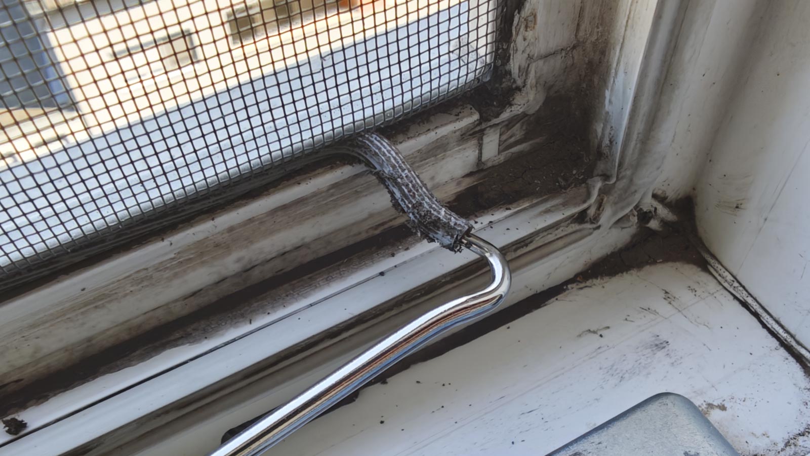 Szúnyogháló csere