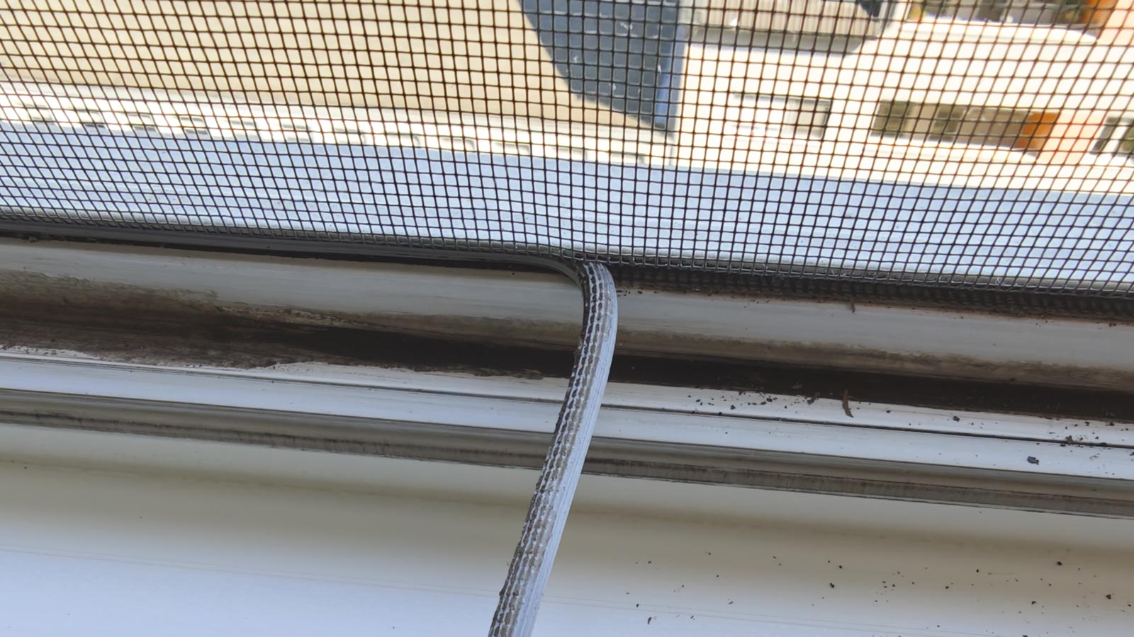 Szúnyogháló csere