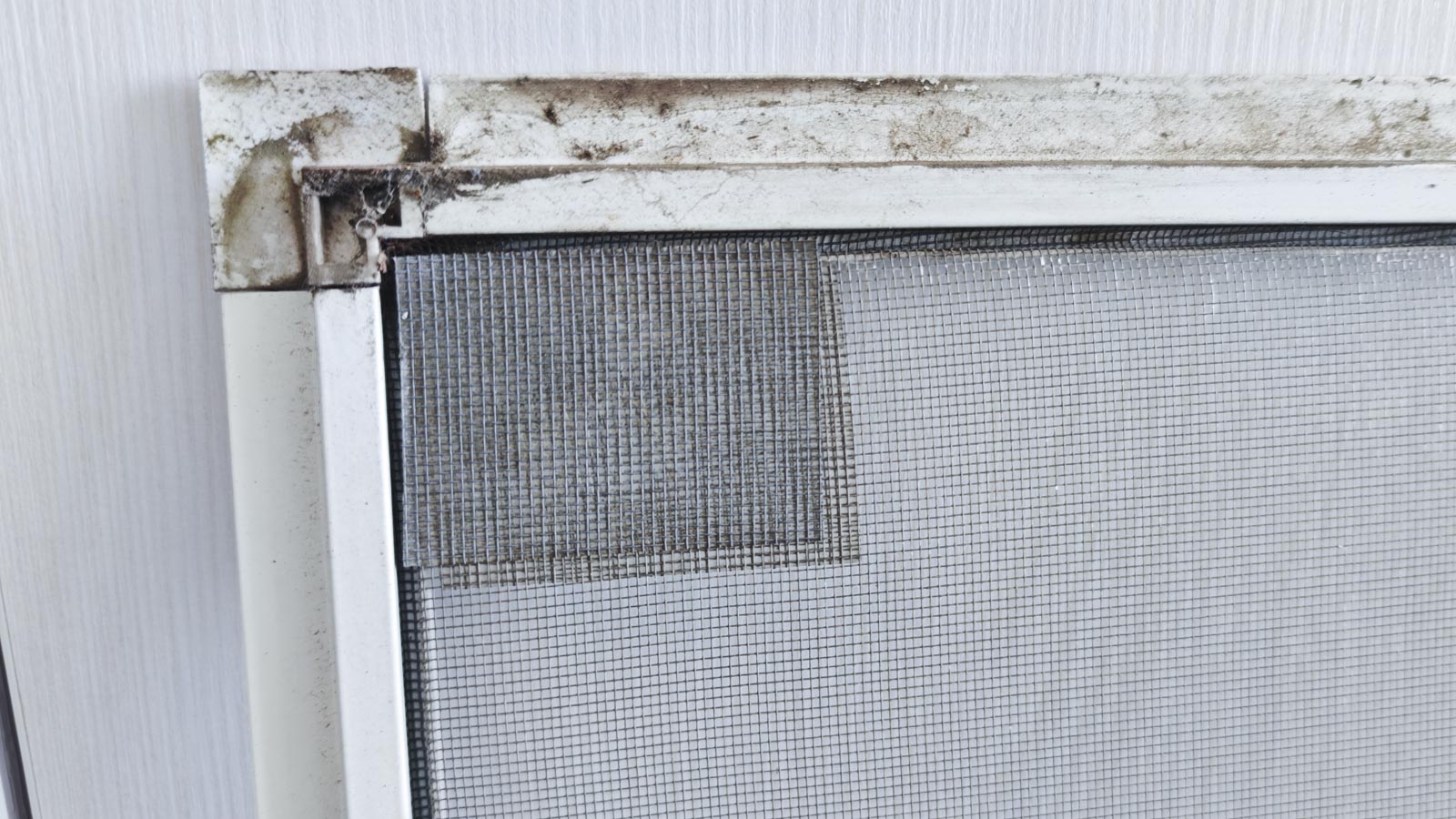 Szúnyogháló csere