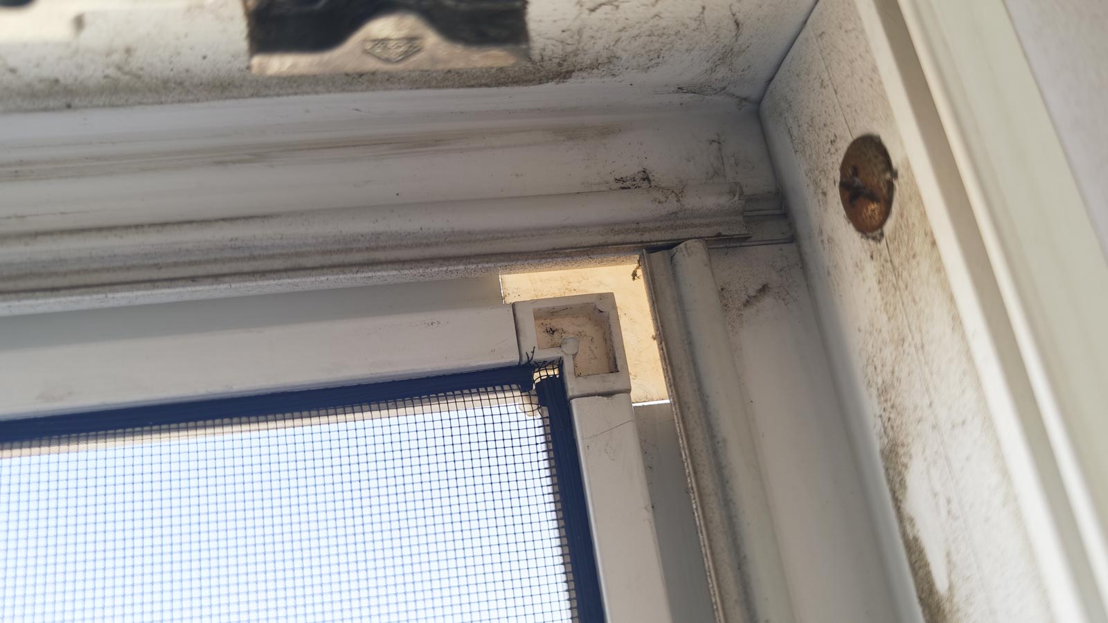 Szúnyogháló csere